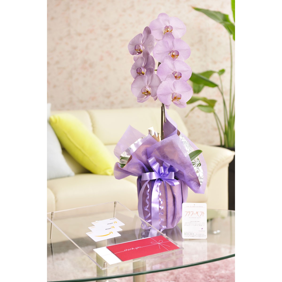  цветок . подарок. комплект можно выбрать цветок цвет. цвет . бабочка орхидея .- irodori - 1 шт. .( холод цвет серия ). товар талон (Amazon подарочный сертификат 3000 иен )[ стоимость доставки * карта * упаковка бесплатный ]