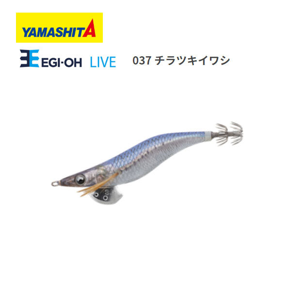 YAMASHITA エギ王 LIVE 2 037 チラツキイワシ エギ、餌木の商品画像