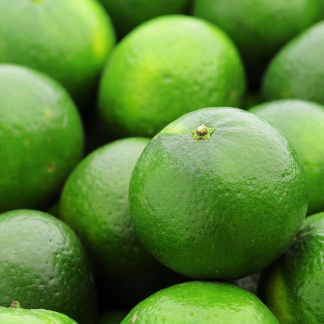 manao( Thai lime ) рассада 20cm передний и задний (до и после) Thai lime плоды национальная кухня бесплатная доставка 