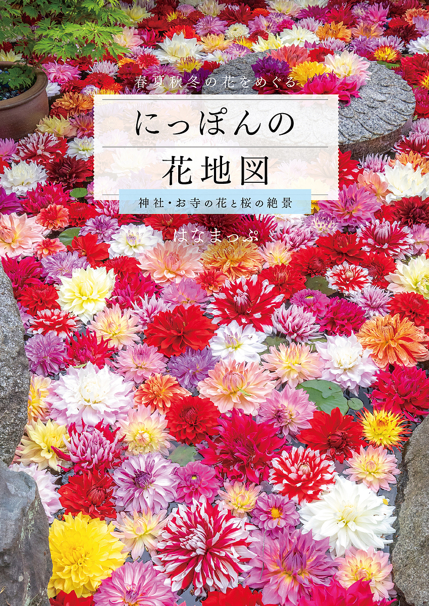 ni.... цветок карта бог фирма *. храм. цветок . Sakura. .. весна лето осень-зима. цветок ..../. ....