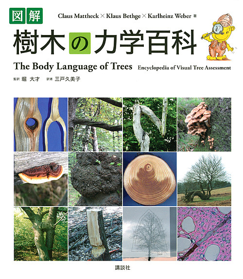 北海道主要樹木図譜 （新版） 宮部金吾／著 工藤祐舜／著 須崎忠助／画