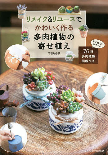 リメイク＆リユースでかわいく作る多肉植物の寄せ植え 平野純子／著の商品画像