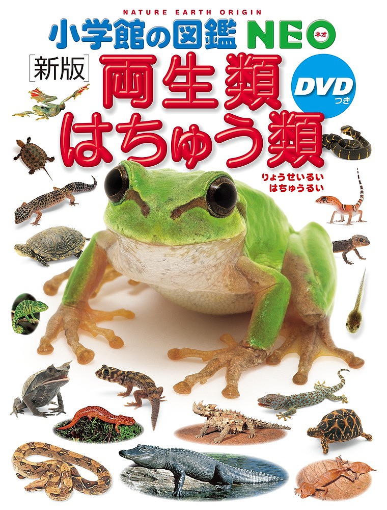 両生類・はちゅう類 （小学館の図鑑ＮＥＯ　６） （新版） 松井正文／監修・執筆　疋田努／監修・執筆　太田英利／監修・執筆の商品画像