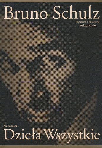 ブルーノ・シュルツ全集　全二巻 ブルーノ・シュルツ　工藤　幸雄の商品画像