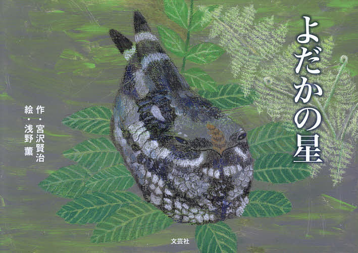 よだかの星 宮沢賢治／作　浅野薫／絵の商品画像