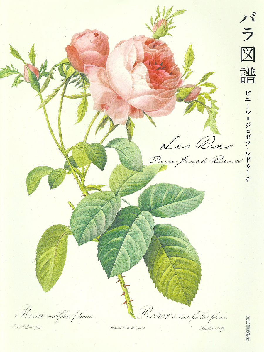 Ｌｅｓ　Ｒｏｓｅｓ　バラ図譜 ピエール＝ジョゼフ・の商品画像