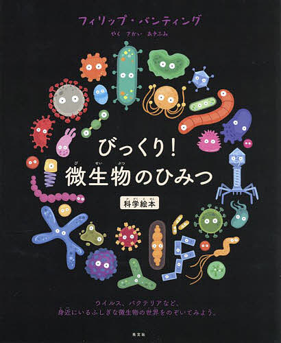 こそあどの森の物語 完結セット 全12巻 岡田 淳 高学年向読み物 - 最