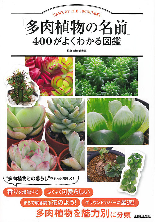「多肉植物の名前」４００がよくわかる図鑑 飯島健太郎／監修の商品画像