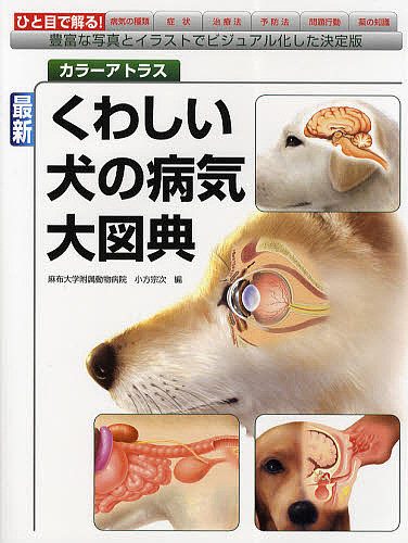 最新くわしい犬の病気大図典　カラーアトラス　豊富な写真とイラストでビジュアル化した決定版 （カラーアトラス） 小方宗次／編の商品画像