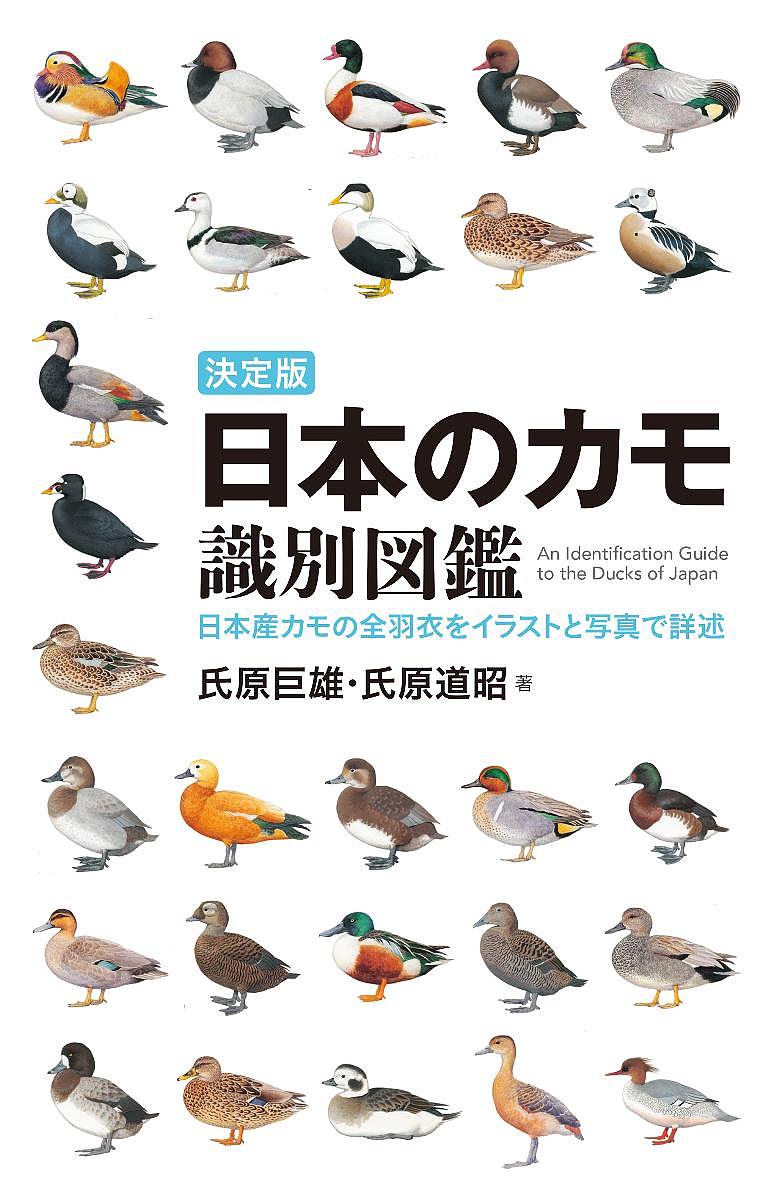 日本のカモ識別図鑑　決定版　日本産カモの全羽衣をイラストと写真で詳述 （日本産カモの全羽衣をイラストと写真で詳述） 氏原巨雄／著　氏原道昭／著の商品画像