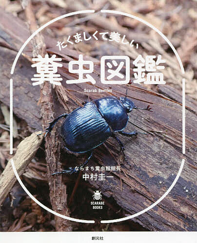 世界のタテハチョウ図鑑 卵・幼虫・蛹・成虫・食草 手代木求／著 動物