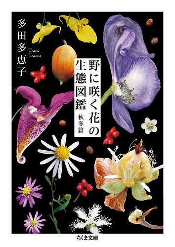 野に咲く花の生態図鑑　秋冬篇 （ちくま文庫　た９１－４） 多田多恵子／著の商品画像