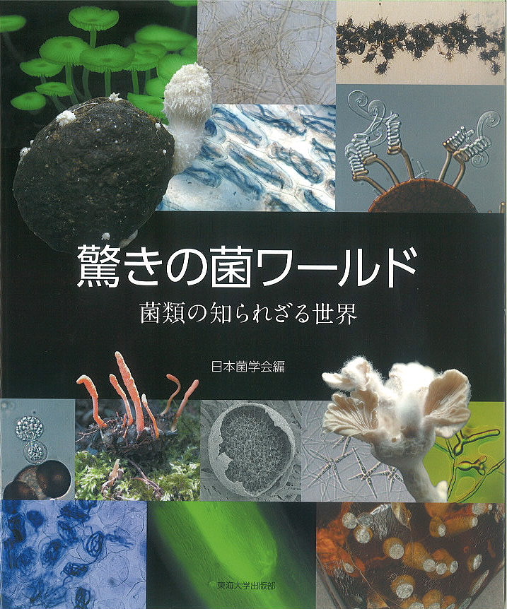 驚きの菌ワールド　菌類の知られざる世界 日本菌学会／編の商品画像