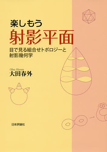 幾何のおもしろさ (新装版数学入門シリーズ) 小平邦彦/著 代数
