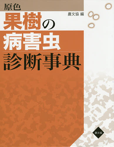 写真図解 ミカンの生育と診断 白石雅也／著 農学（営利園芸）の本 - 最