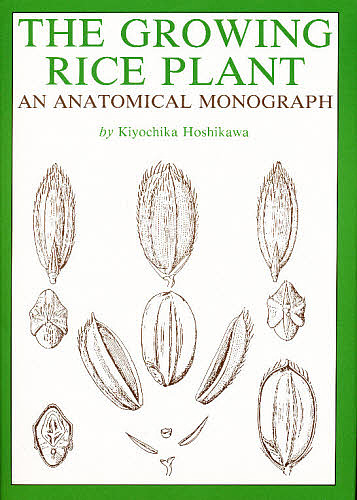 英訳・解剖図説イネの生長 星川清親／著の商品画像