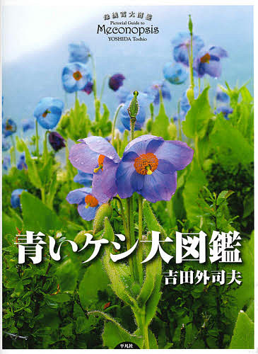 青いケシ大図鑑 吉田外司夫／著の商品画像