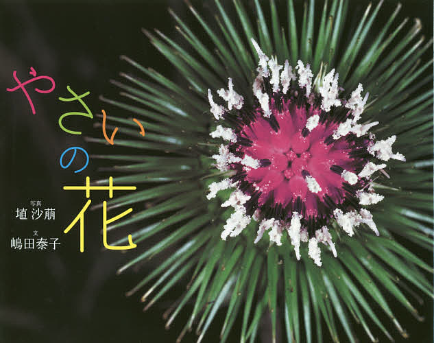 やさいの花 （ふしぎいっぱい写真絵本　２９） 埴沙萠／写真　嶋田泰子／文の商品画像