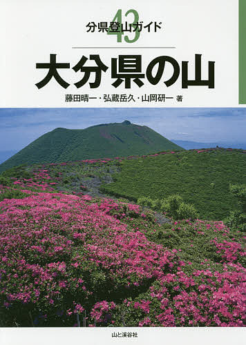 大分県の山 （分県登山ガイド　４３） 藤田晴一／著　弘蔵岳久／著　山岡研一／著の商品画像