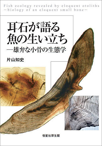 カマキリに学ぶ （SCIENCE WATCH） 安藤喜一／著 動物生態