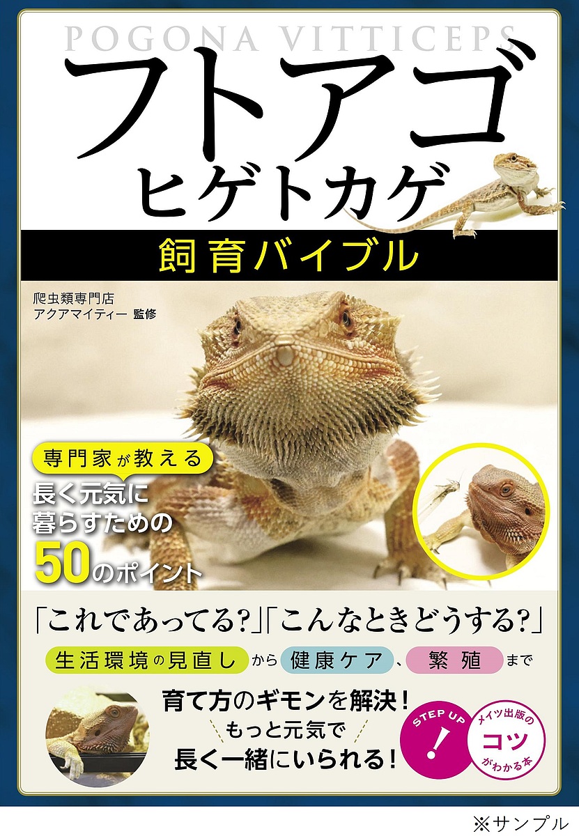 「フトアゴヒゲトカゲ」飼育バイブル　専門家が教える長く元気に暮らすための５０のポイント （コツがわかる本） 爬虫類専門店アクアマイティー／監修の商品画像