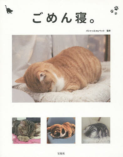 ごめん寝。　かわいくて笑える！眠る猫の写真集 パシャっとｍｙペット／監修の商品画像