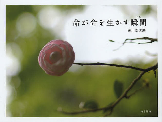 命が命を生かす瞬間（とき） 藤川幸之助／文・写真　真宗大谷派宗務所出版部（東本願寺出版部）／編集の商品画像