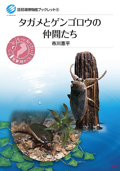 タガメとゲンゴロウの仲間たち （琵琶湖博物館ブックレット　６） 市川憲平／著の商品画像