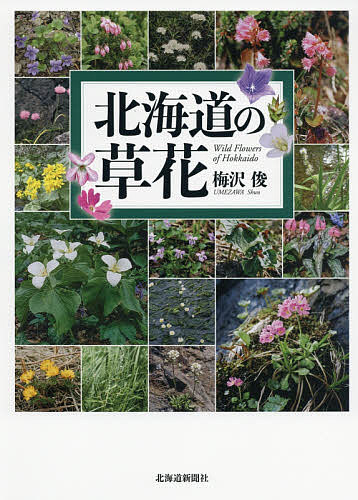 北海道の草花 梅沢俊／著の商品画像