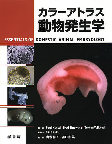 水の中の小さな美しい生き物たち 小型ベントス・プランクトン百科