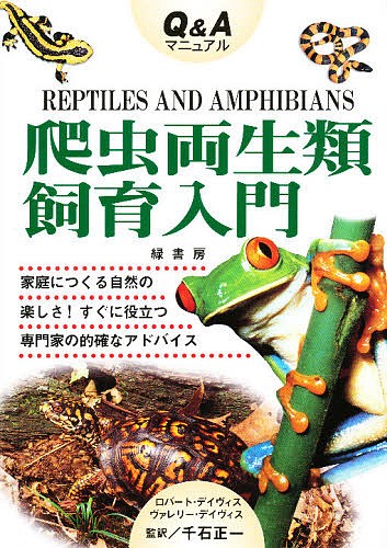 爬虫両生類飼育入門　Ｑ＆Ａマニュアル ロバート・デイヴィス／著　ヴァレリー・デイヴィス／著　千石正一／監訳の商品画像