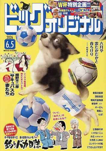 ビッグコミックオリジナル ２０２６年６月５日号 （小学館）の商品画像