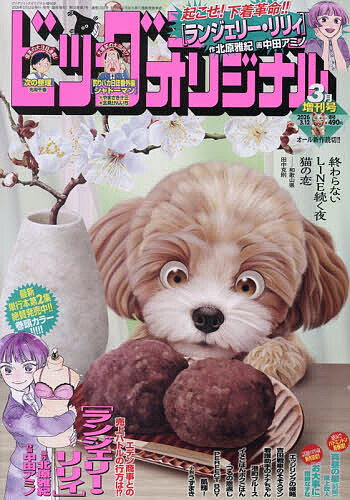 Ｂ・Ｃオリジナル増刊号 ビッグオリジナル増刊 ２０２６年３月号 （小学館）の商品画像