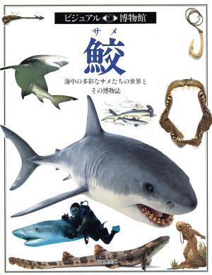 なんでもカウントダウン おもしろアンケートブック'98 アンケート