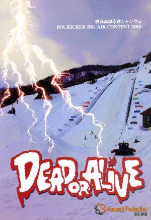 Dead or Alive 2010| sport 