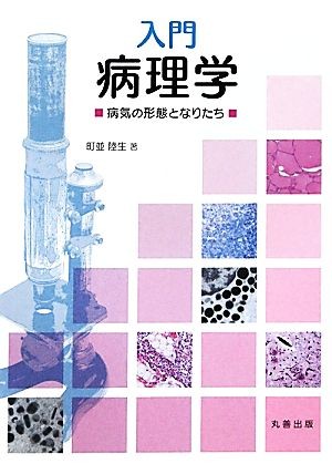 入門病理学　病気の形態となりたち 町並陸生／著の商品画像