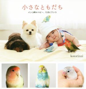 小さなともだち　インコ時々ベビー、たまにワンコ ｋｏｔｏｒｉｎａｉ／著の商品画像