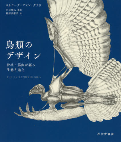 鳥類のデザイン　骨格・筋肉が語る生態と進化 カトリーナ・ファン・グラウ／〔著〕　川上和人／監訳　鍛原多惠子／訳の商品画像