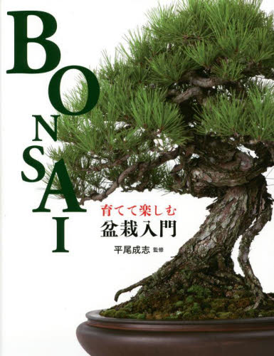 ... comfort bonsai introduction / flat tail ....