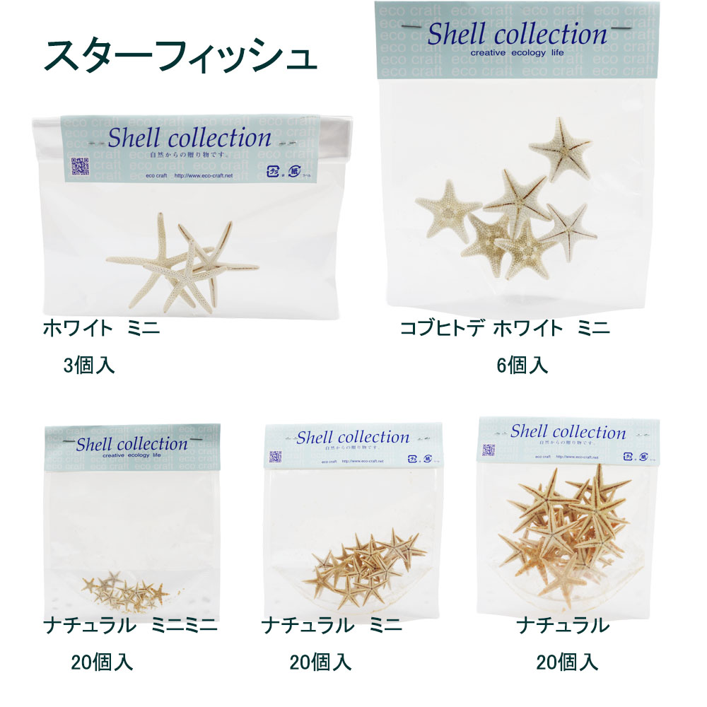  shell [ Star Fish (hitote)] Mini shell parts craft for nature material resin for parts as very popular equipped.