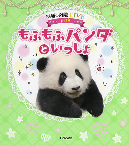 mo... Panda ...../ сейчас Izumi . Akira / Kobe десять тысяч .