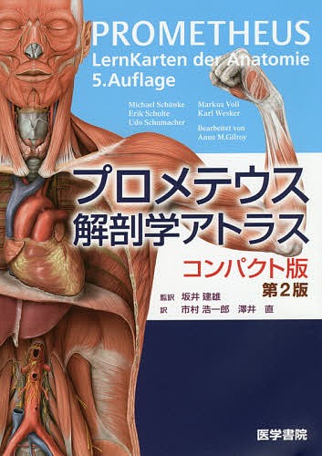 骨格筋の形と触察法 （改訂第2版） 河上敬介／編集 磯貝香／編集 河上