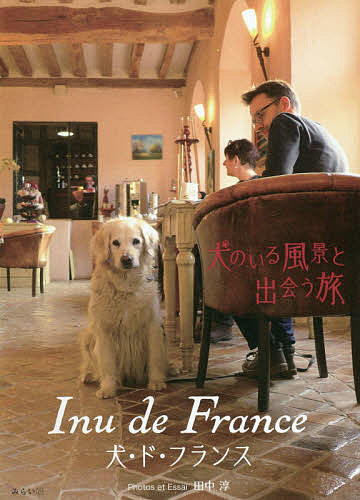  dog *do* France dog. .. scenery ...../ rice field middle .