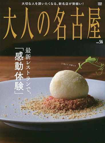  взрослый Nagoya vol.56/ путешествие 
