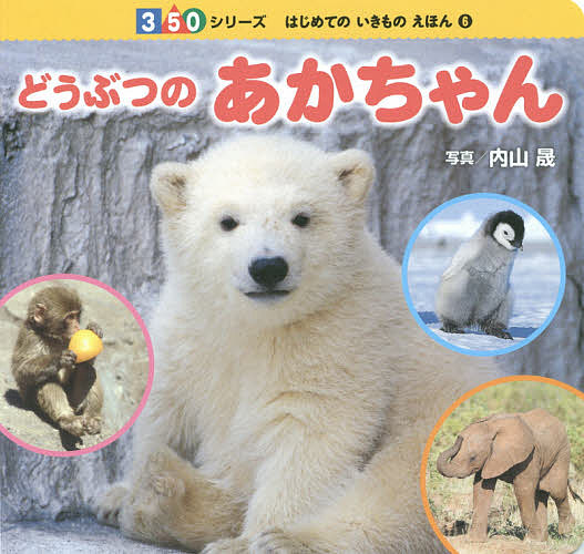 ..... baby / inside mountain ./ child / picture book 