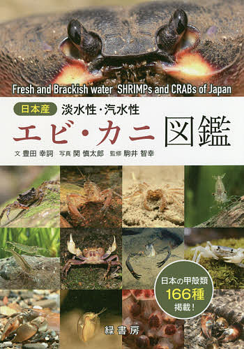 鳥と卵と巣の大図鑑 世界655種 吉村卓三／著 鈴木まもる／絵・構成