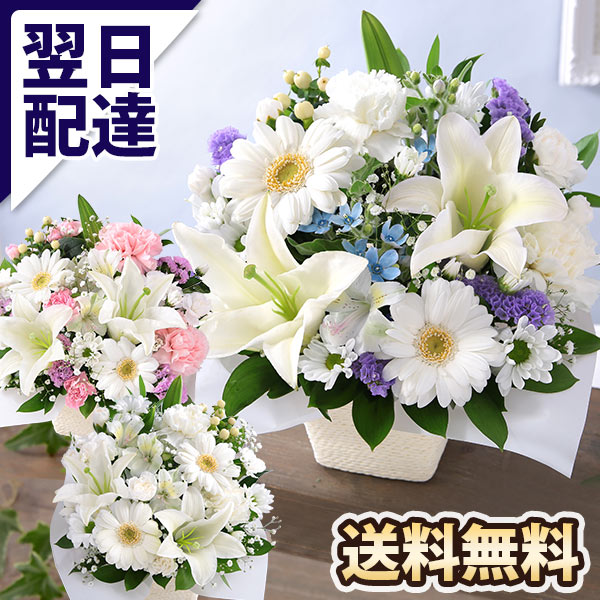  flower ..... incidental arrange S free shipping O-Bon ..... flower . flower arrange . flower natural flower ... law necessary .. the first tray lily 