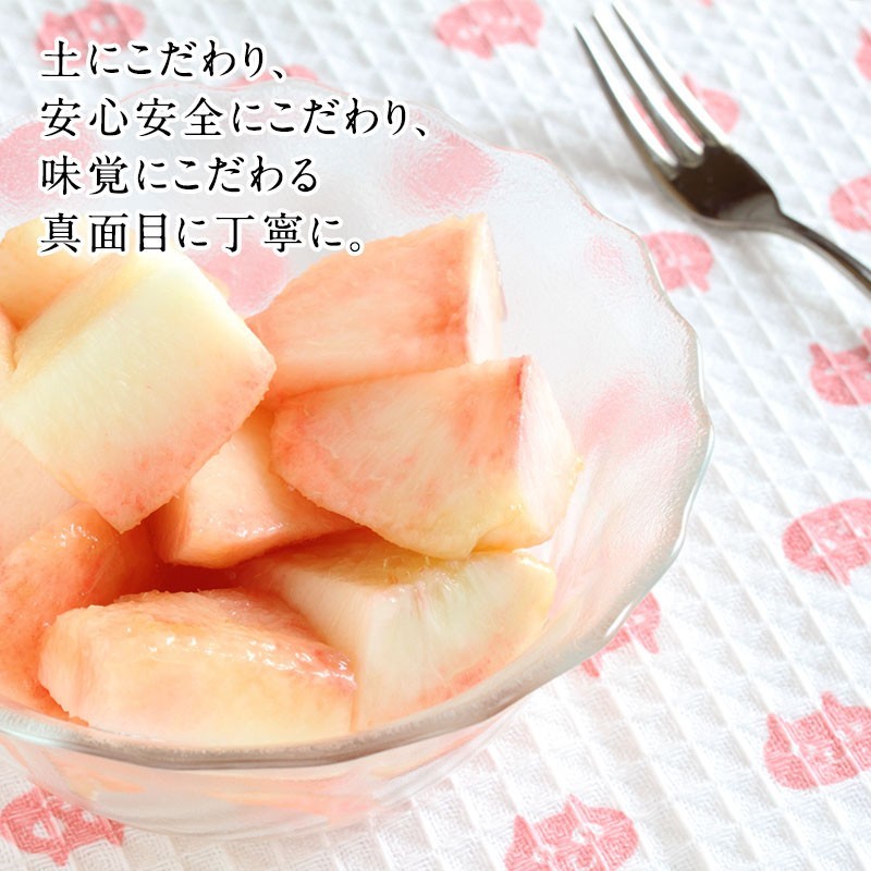  Bon Festival gift gift . middle origin middle origin . hold hand earth production Bon Festival gift gift . middle origin gift Wakayama prefecture production oh river. peach ( white peach )3L size. Special preeminence goods!7~8 sphere go in ( approximately 2kg)(fy7)