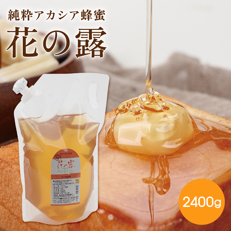2400g（詰め替え容器なし） / 1本