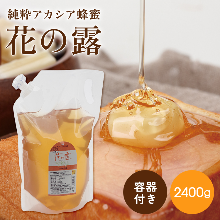 2400g（詰め替え容器500g用付） / 1本